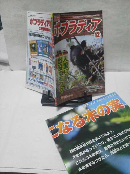 【激レア・大ボスター付いてます】『月刊ポプラディア2008』秋になる木の実/送料無料/匿名配送