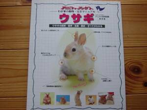 * Studio Mucc preservation version rabbit 