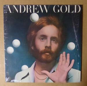 ANDREW GOLD「1st」米ORIG[ASYLUM雲]シュリンク美品