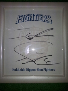 Art hand Auction Хоккайдо Nippon-Ham Fighters 11 Дарвиш логотип бейсбольной команды с автографом, украшение из цветной бумаги, бейсбол, Сувенир, Сопутствующие товары, знак