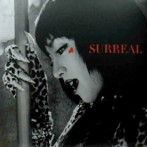 浜崎あゆみ SURREAL レコード 12枚セット 新品 Amazon.co.jp: SURREAL: ミュージック
