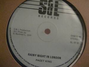 ■Theresa Palma/Rainy Night In Georgia■美メロLOVERS ROCK！