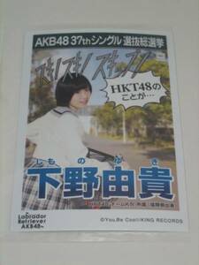 未開封　AKB48 ラブラドールレトリバー 劇場盤 生写真　下野由貴