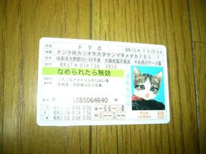 猫　なめ猫　免許証　カード　ドラ吉　革ジャンを着てる　仲良し　ラブラブ　未使用