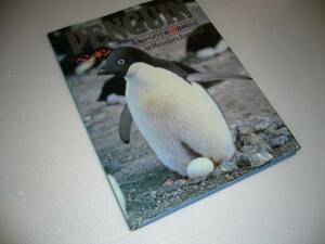 ペンギン写真集 南極からの手紙 青柳 昌宏 1981年初版