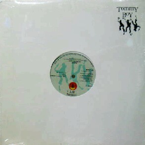 $ DIGITAL UNDERGROUND / THE HUMPTY DANCE (TB 944) YYY35-745-4-6 12インチ 穴 レコード