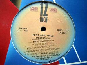 □試聴□Nice And Wild - Obsession / Dance Classic/ US□