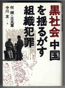 【a9905】黒社会 中国を揺るがす組織犯罪／何 頻・王兆軍