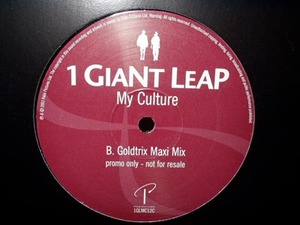 Robbie Williams【1 GIANT LEAP/My Culture】12inch & VHS