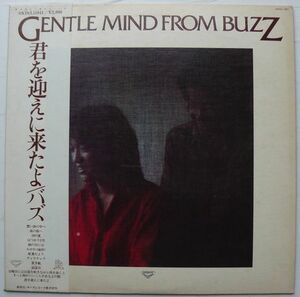 帯付■BUZZ/バズ■君を迎えに来たよ/GENTLE MIND FROM BUZZ