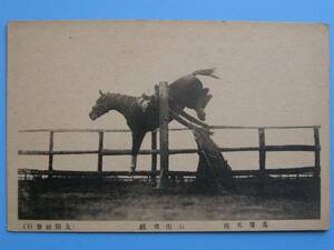 戦前絵葉書 馬術 自由飛越 軍隊 陸軍 馬 (E52)　