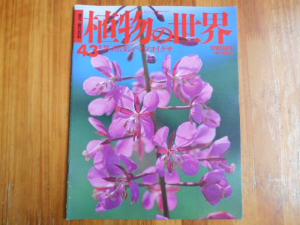 ☆激レア☆『植物の世界』週刊朝日百科 全145冊 Amazon.co.jp: 週刊 植物の世界（週刊朝日百科） 12 花の発見