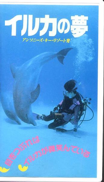 イルカに逢える日　VHS Amazon.co.jp: イルカに逢える日 [VHS] (1994) 小松千春 松岡