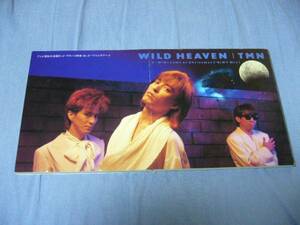 TMN 「WILD HEAVEN」 ジャケットに難アリ