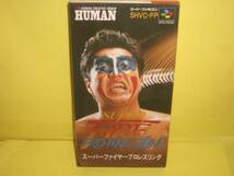 ☆中古☆　SFC　【スーパーファイヤープロレスリング】【即決】_画像1