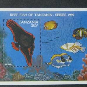 ☆№47☆ タンザニア切手 1989年 海の魚 2種小型シート 美品の画像2