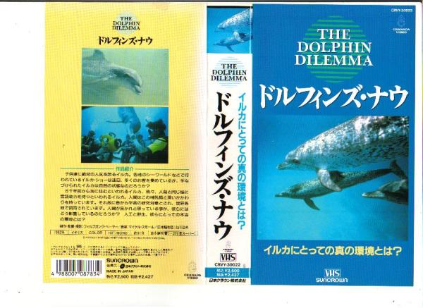 2025年最新】Yahoo!オークション -イルカ?(ビデオテープ)の中古