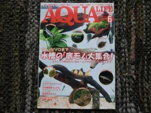 * aqua life 2013-06* aquarium. bottom mono large set *