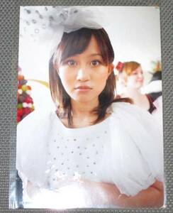 ⊥ AKB48 生写真[桜の木になろう] 前田敦子 新星堂特典