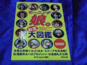 送料140円　　　モーニング娘。お宝大図鑑　　　モー娘。ハロプロ