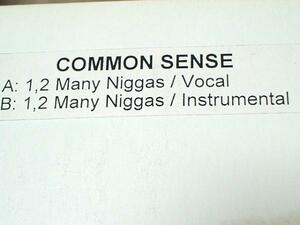 Common Sense / 1,2 Many Niggas/♪インスト収録/5点以上で送料無料、10点以上で10％割引!!!/12'