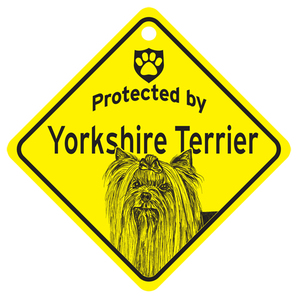 * last. 1 point yo- key protect autograph house . car window . yoke car - terrier *