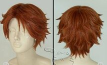 テニスの王子様　 芥川慈郎 　風　コスプレウィッグ＋ネット W1287_画像2