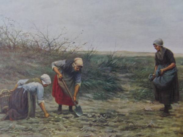 Potato Gleaners/Philip L.J.F.Sadee 超希少 100年前の画集より, 絵画, 油彩, 人物画