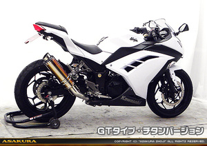 Ninja 250(JBK-EX250L)／Z250(JBK-ER250C)用TTRマフラー　