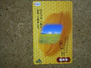 s52-60*JA Fukui префектура экономика полосный Koshihikari телефонная карточка 