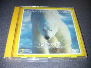 DVD 『北極の四季』ナショナル・ジオグラフィック 廃版激レア