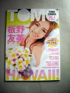 芸能 板野友美 TOMOCAWA VOL.2