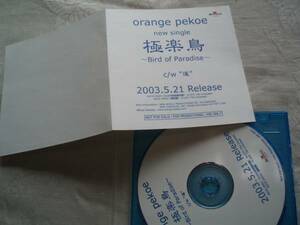 orange pekoeオレンジペコー/極楽鳥