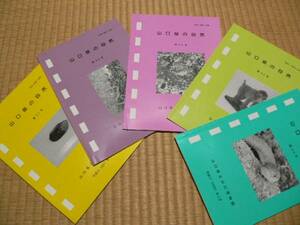 「山口県の自然」 山口県立山口博物館　植物・魚・鳥・昆虫