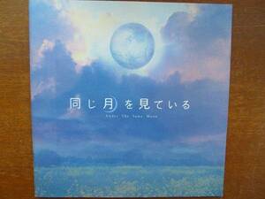 映画パンフレット●同じ月を見ている　窪塚洋介　黒木メイサ