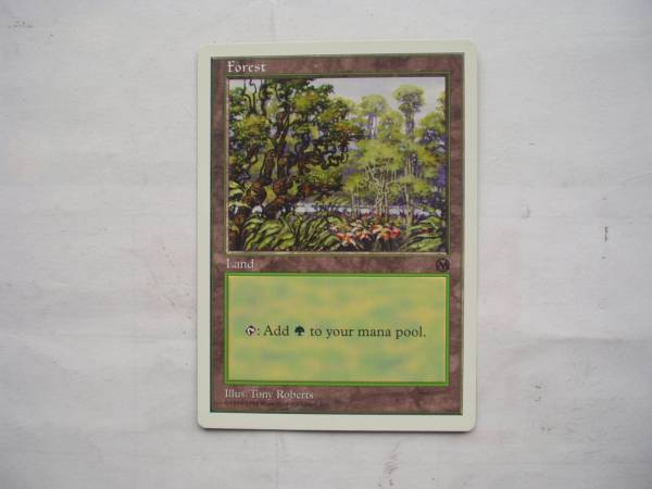 MTG　初代アリーナランド　基本土地　4種まとめ売り 平地/Plains》[初代アリーナランド] 土地 | 日本最大級 MTG通販