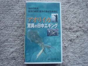 VTR　アオリイカ　日中エギング　釣り人編集部