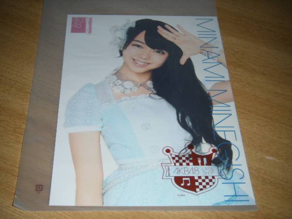 AKB48 峯岸みなみ　A4サイズ 生写真　ポスター　24枚　バインダー AKB48 峯岸みなみ A4サイズ 生写真 ポスター 24枚 バインダー