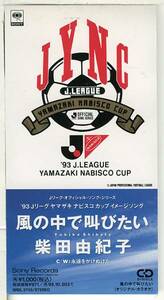 柴田由紀子★風の中で叫びたい★サッカーJリーグ