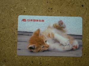 i4098* Япония группа жизнь кошка телефонная карточка 