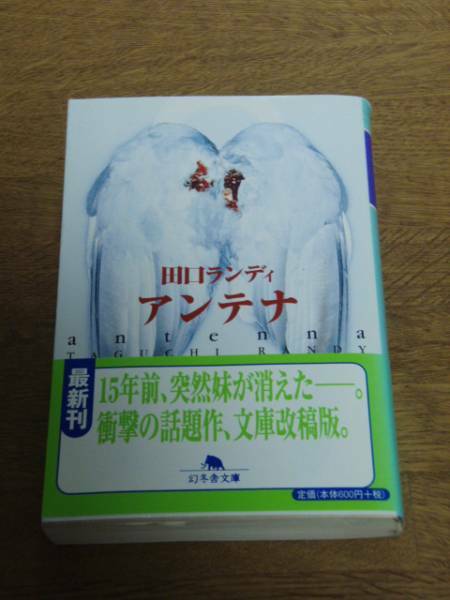 田口ランディ★アンテナ★文庫本