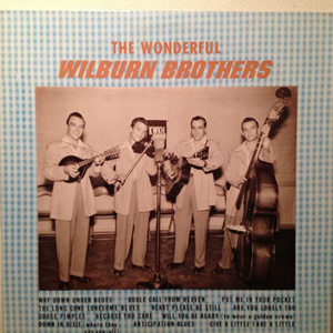 WILBURN BROTHERS LP THE WONDERFUL ロカビリー