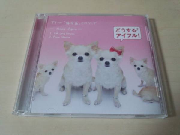 CD「アイフル「帰宅篇」CMソング」チワワ 非売品★
