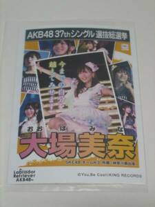 未開封　AKB48 ラブラドールレトリバー 劇場盤 生写真　大場美奈