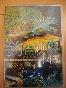 * beautiful goods *sin forest fishing fish image illustrated reference book fishing person therefore. underwater image 