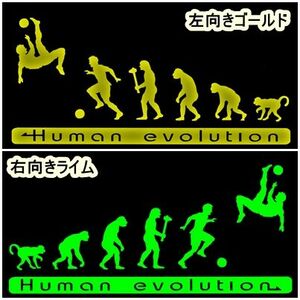 人類の進化 20cm【サッカー・フットサル編】ボールステッカー1