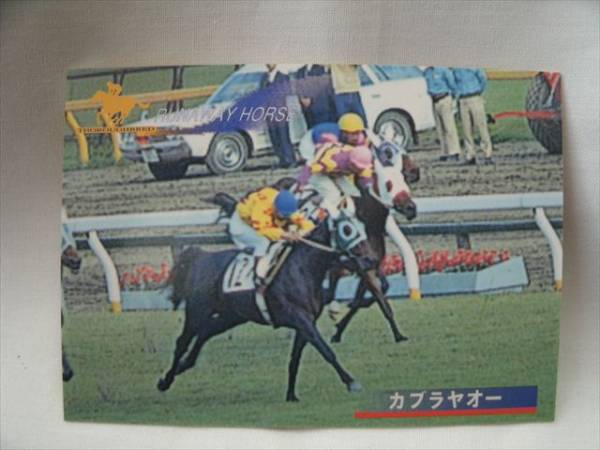 バンダイ競馬メモリアルカードブローアップ版1996年 全27枚 ウマ娘 希少❗️ バンダイ競馬メモリアルカードブローアップ版1996年 全27枚 ウマ