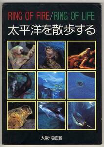 【c9419】1993年 太平洋を散歩する-RING OF FI...／大阪・海遊館