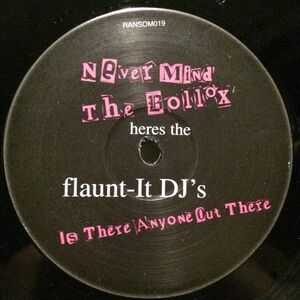 Flaunt-It DJs / Is There Anybody Out There