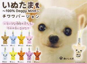 [ 即決 ]　いぬたま　100% Doggy Mind　チワワVer　(全10種セット)